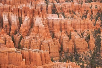 Hoodoo closeup, Bryce Canyon National Park