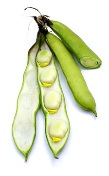 Ackerbohnen