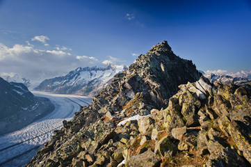 Fototapeta na wymiar Aletsch glacier with Bettmerhorn