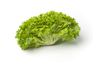 Lollo bionde lettuce on white background