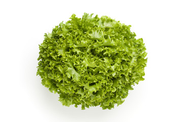 Fototapeta na wymiar Lollo bionde lettuce seen from above