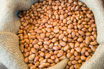 Erdnusskerne, Erdnüsse, Arachis hypogaea