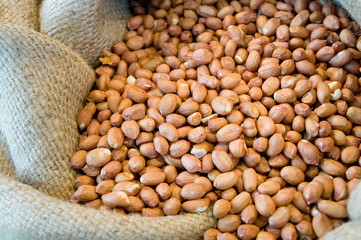 Erdnüsse (Arachis hypogaea), Hülsenfrüchte