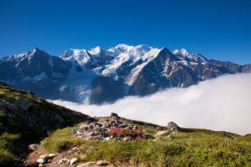 vue sur le Mont-Blanc - obrazy, fototapety, plakaty