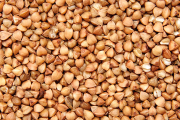 buckwheat;