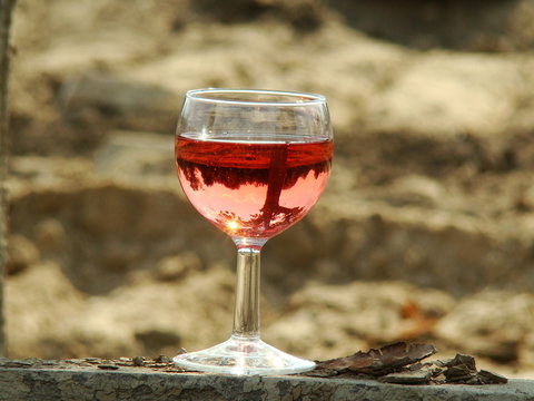 wino