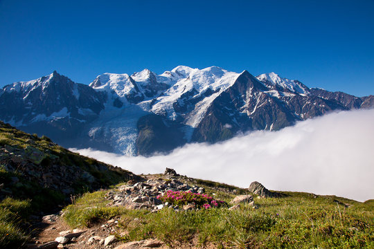 vue sur le Mont-Blanc