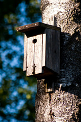 Birdhouse hanging on a tree