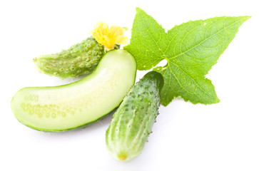 Fresh cucumber