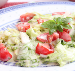 frischer salat
