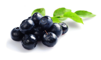 Bilberries