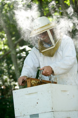 BeeKeeper