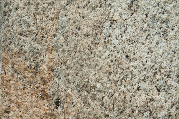 Abstract detail of a concrete sidewalk