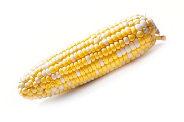 Corn on the cob
