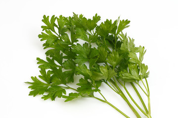 green leaves of parsley