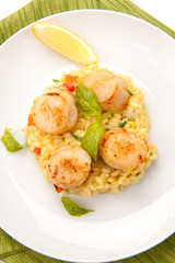 Scallops Risotto