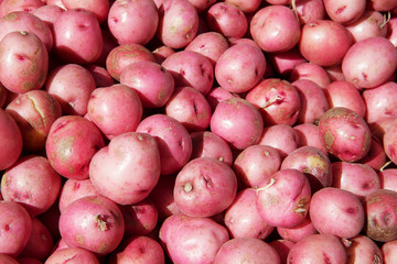 Small Red Potatoes