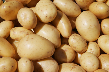 Yukon Potatoes