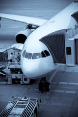 Airplane Loading At The Airport And Loading Cargo