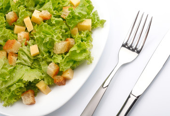 Close-up of salad on white plate