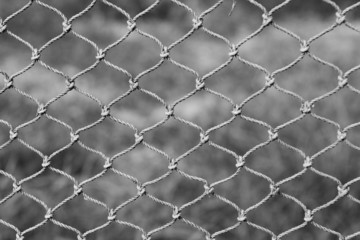 Fototapeta premium Abstract Background