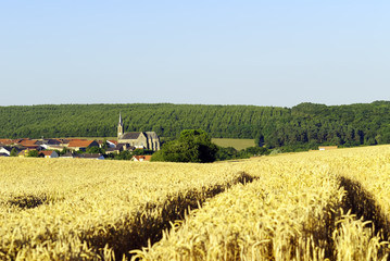 Fototapeta premium agriculture et village