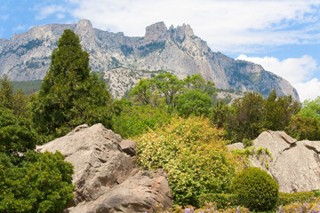 Spring mountain landscape