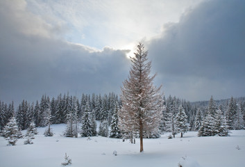 winter mountain landscape