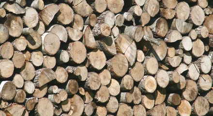 firewood stack