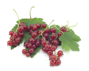 sprig of red currants with a leaf