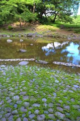 日本庭園の池