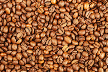 hintergrund textur von vielen kaffeebohnen