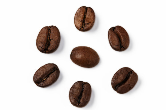 8 312 Best Kaffeebohne Images Stock Photos Vectors Adobe Stock