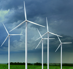 Fototapeta premium meadow with wind turbines