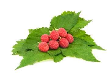 red raspberries on leaves isolated