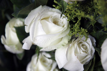 Beautiful white roses bouquet with water droplets