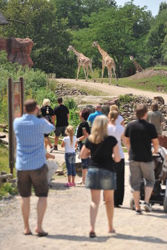 zoo