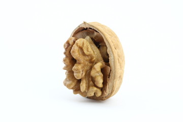 Open valnut