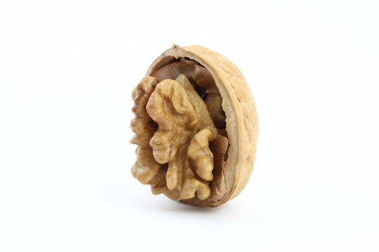 Open valnut