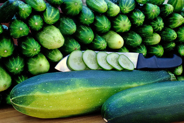 oblong marrow and green cucumber