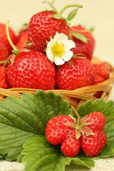 Fresh strawberries