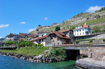 Fototapeta na wymiar Lavaux Vineyard Terraces - Switzerland