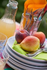 summer fruits on garden table