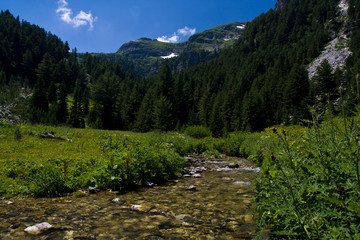 High mountains river and meadow