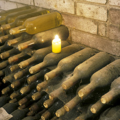 wine archive in wine cellar, Czech Republic