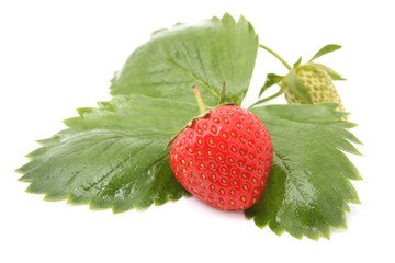 strawberry