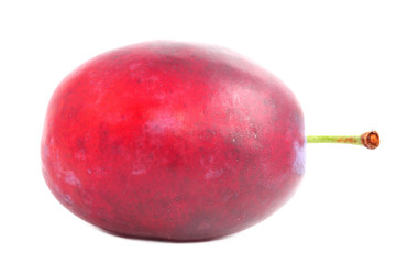 fresh plum isolated