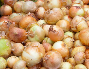 Onion pile