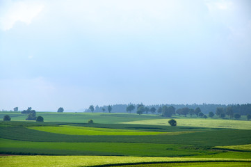 Felder im Schwarzwald