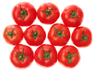 tomatoes